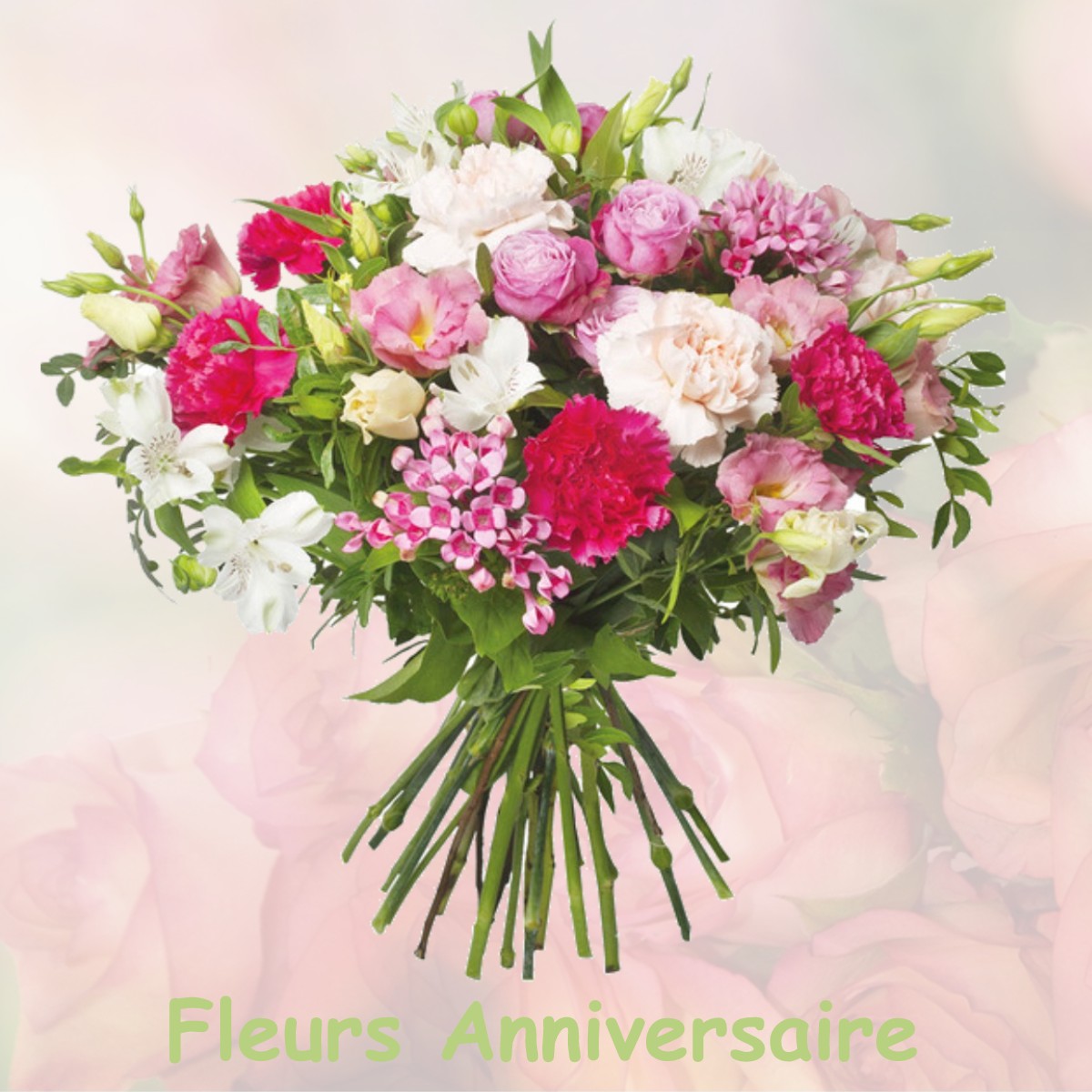 fleurs anniversaire MONTCUSEL